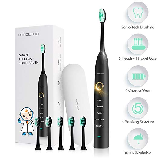 LANDWIND Electric Toothbrush with 5 Adaptable Bass Brushing Heads, Rechargeable Sonic Toothbrush with Smart Timer, 4 Charges for 1 Year, 5 Modes, Waterproof Fully Washable, for Unisex Adults (Black)