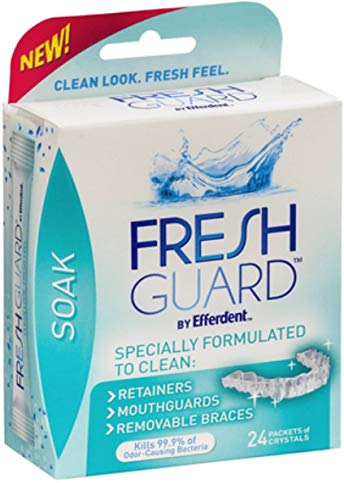 Efferdent Fresh Guard Soak Crystals Packets 24 Each (Pack of 10)