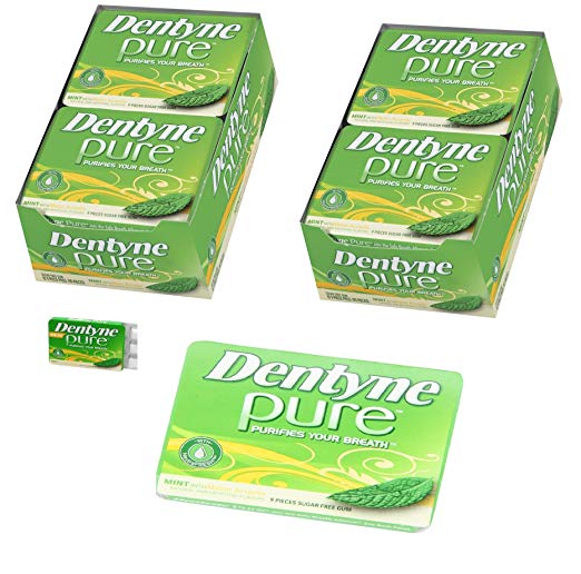 Dentyne Pure Mints with Melon Accents Artificially Flavored Sugar Free Chewing Gum - 20 Pack of 9 Pieces Each (180 Pieces Total)